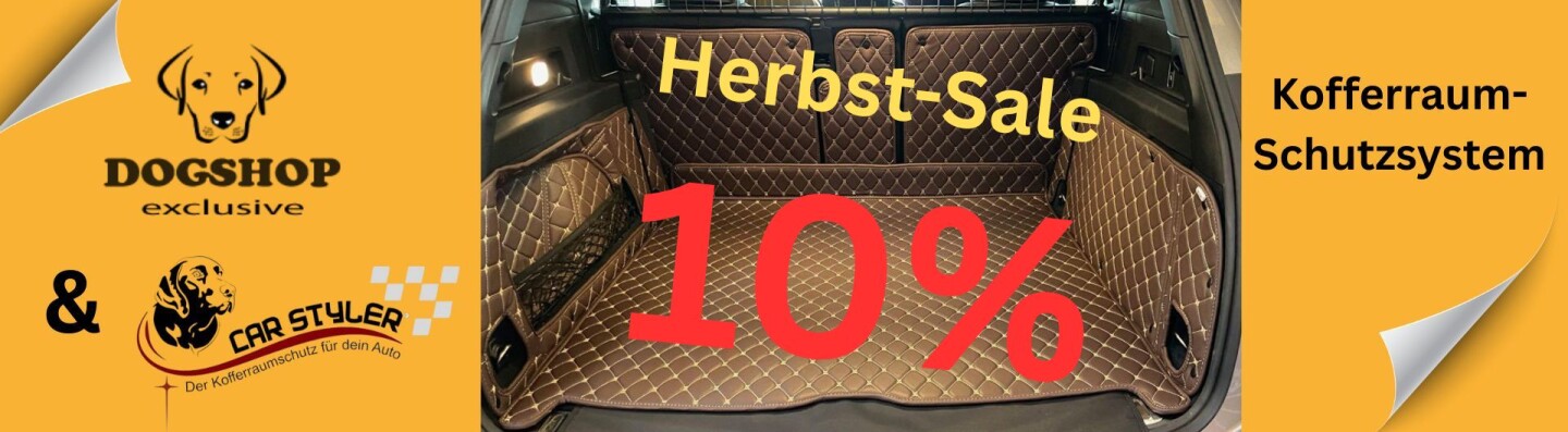 Carstyler 10%