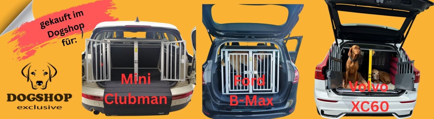 Doppelbox