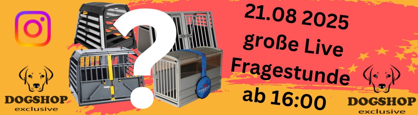 Fragestunde