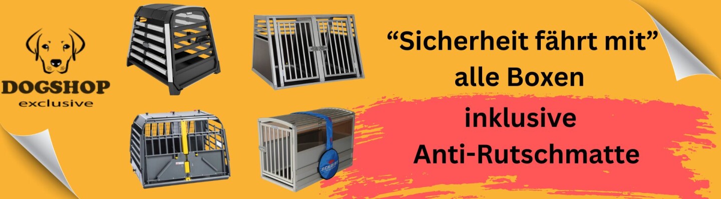 Sicherheit fährt mit