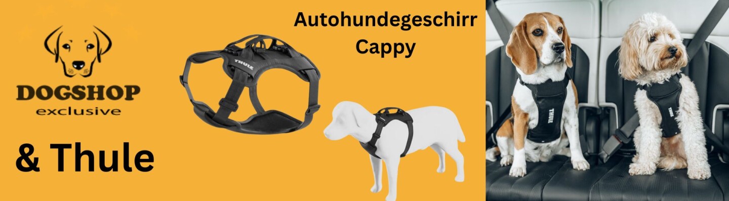 Thule Cappy
