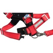 Allsafe Comfort Hundesicherheitsgurt M