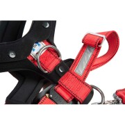 Allsafe Comfort Hundesicherheitsgurt M