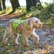 Warnweste für Hunde