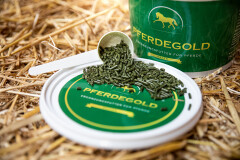 Pferdegold® Magen