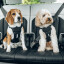 Thule Cappy Hundegeschirr