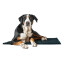 Hunter Schmutzfang-Hundematte Waterloo XXL 120 x 80 cm